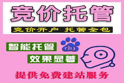 成功案例分享：SEM推广优化效果显著